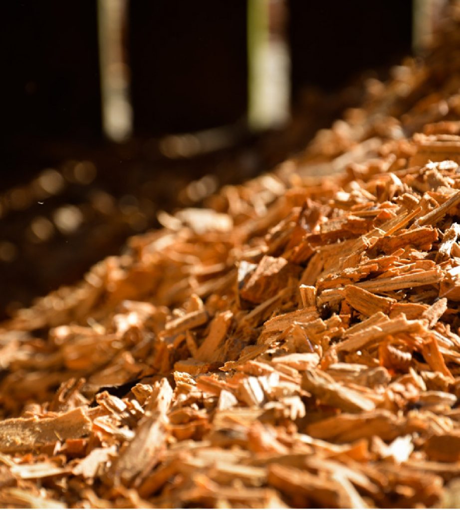 Farleigh Wallop Estate Forestry