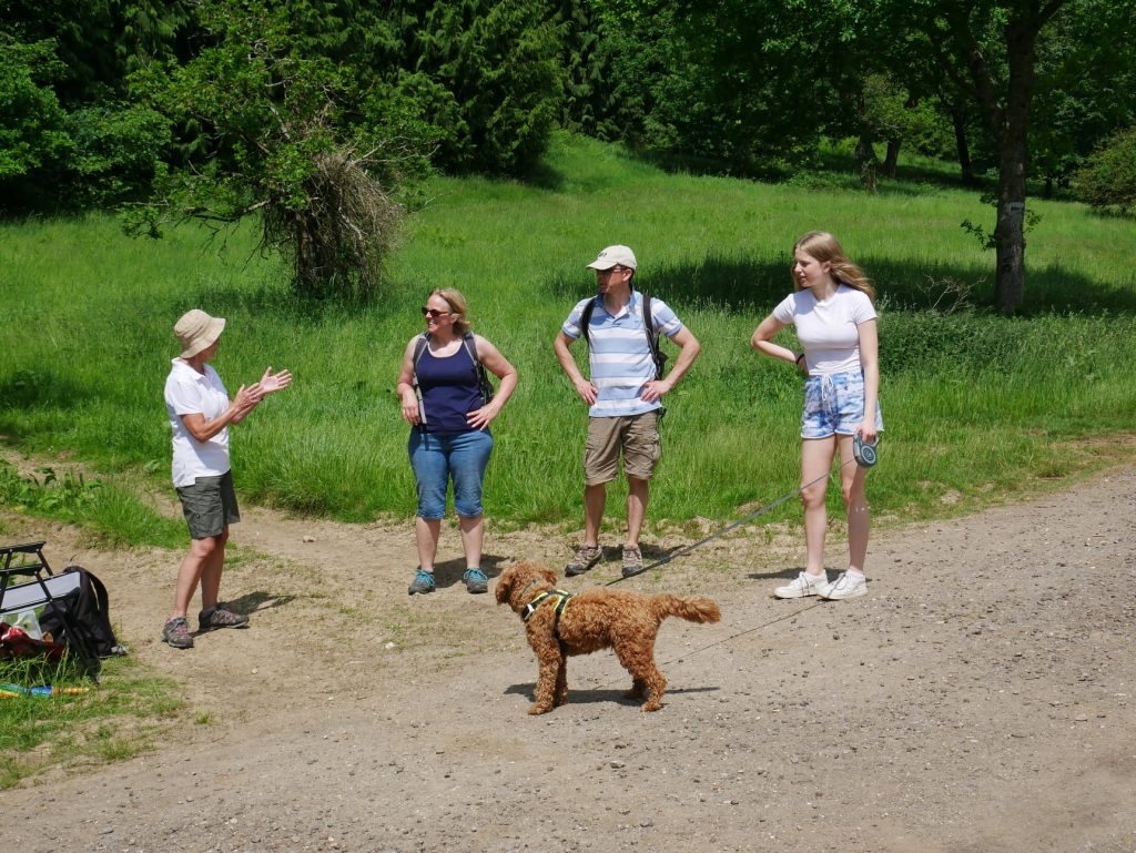 StMichaelsHospiceWalk