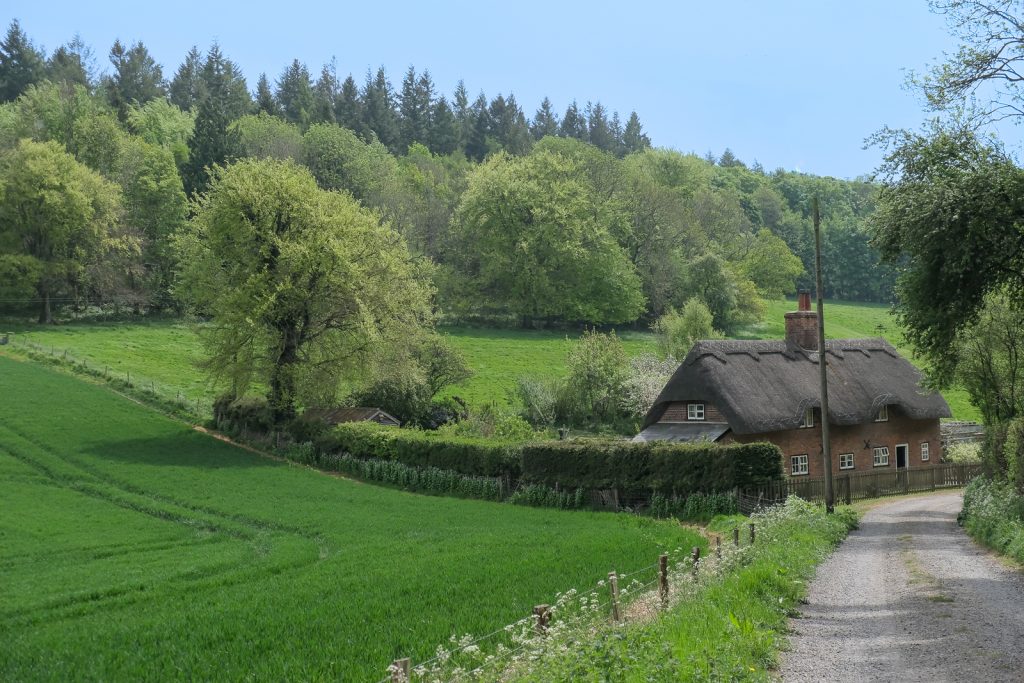 properties to rent on the farleigh wallop estate