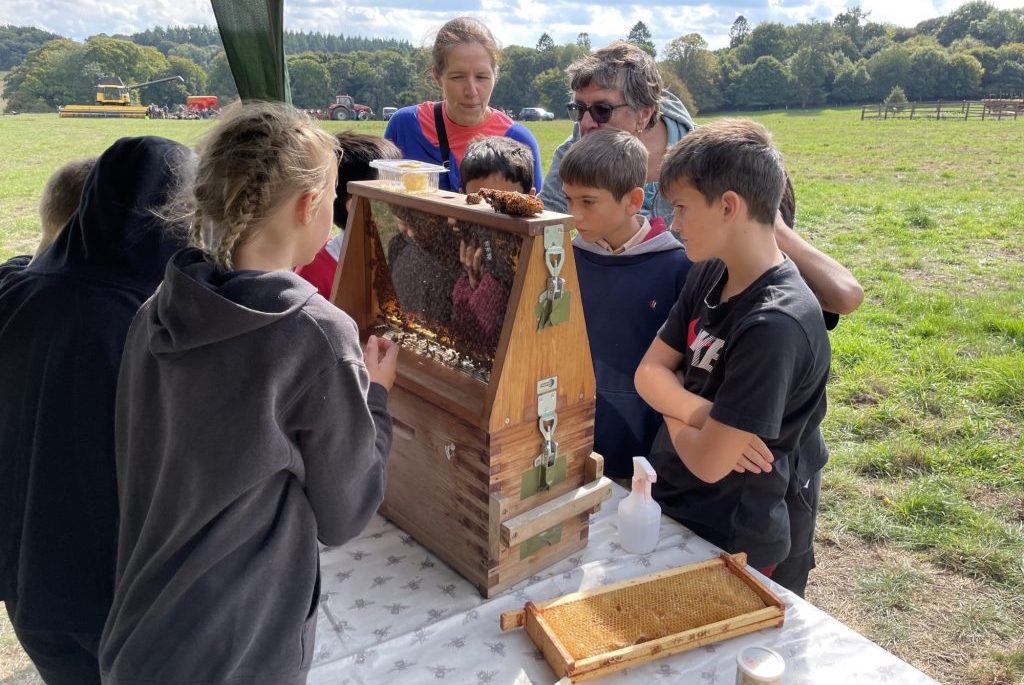 Beekeeping-farleigh-wallop